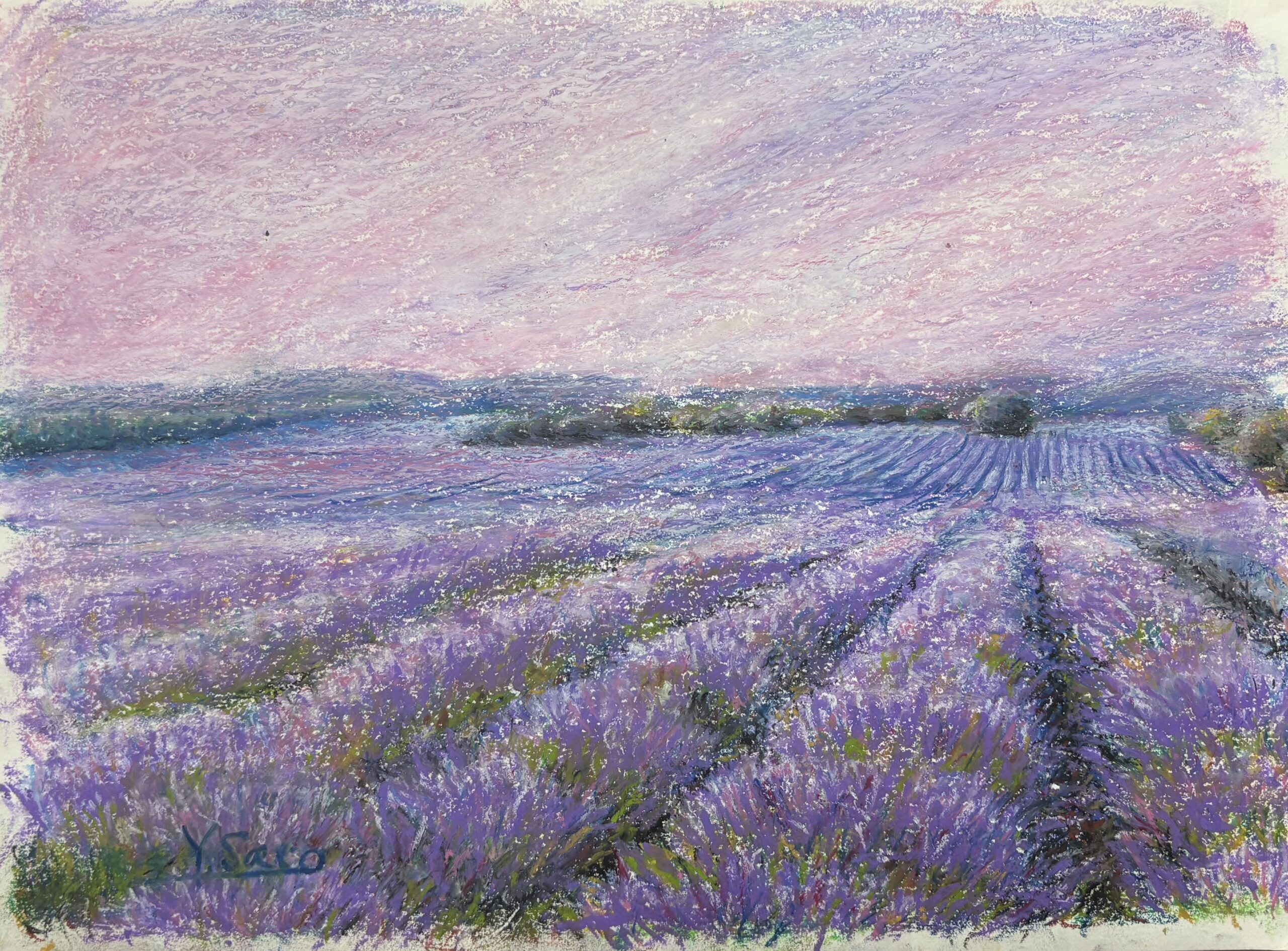 薄紅のラベンダー畑 ｜100点のアートクレヨン画展