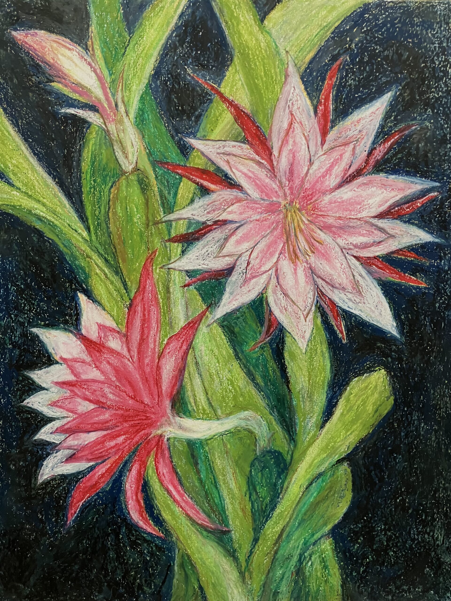 クジャクサボテンの花｜100点のアートクレヨン画展