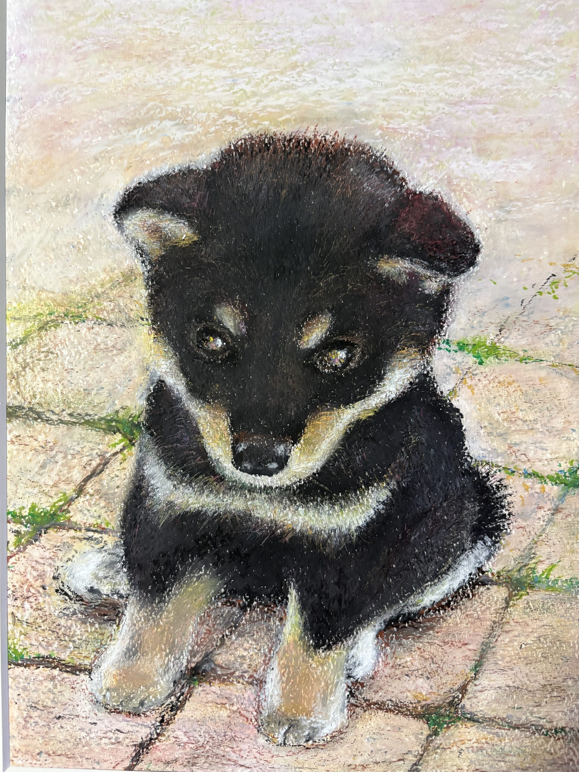 小さな黒柴｜100点のアートクレヨン画展